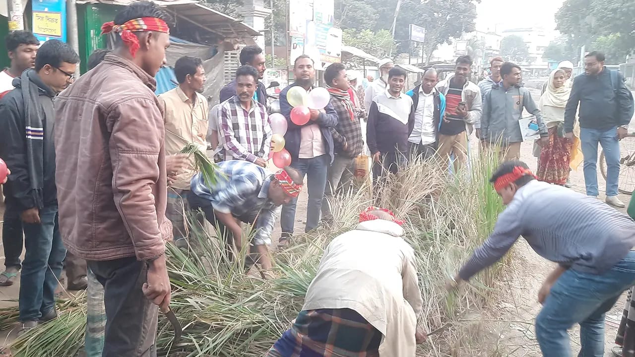 বদলগাছীতে সড়কে ধান রোপণ থেকে পিঠা উৎসব: অবহেলার প্রতিবাদে ব্যতিক্রমী আয়োজন!