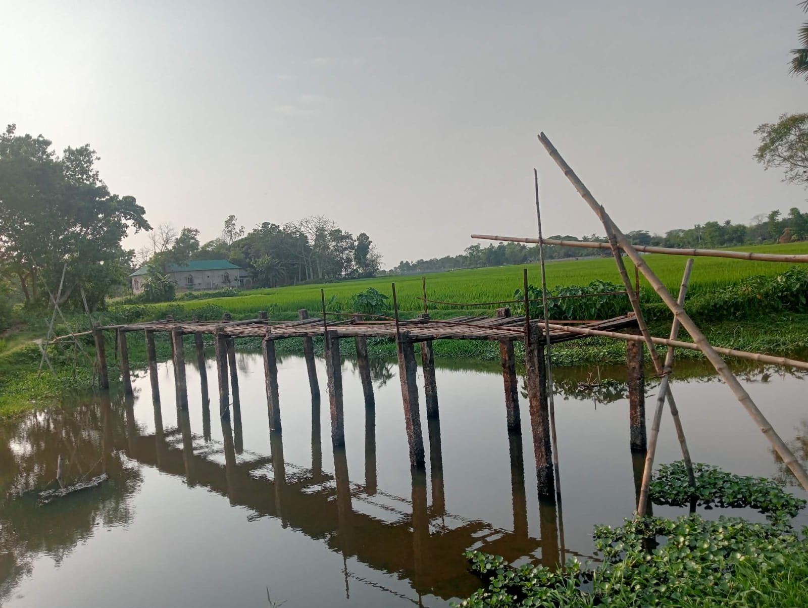 ব্রিজ না থাকায় বিচ্ছিন্ন দুই গ্রাম, ভোগান্তিতে লক্ষাধিক মানুষ