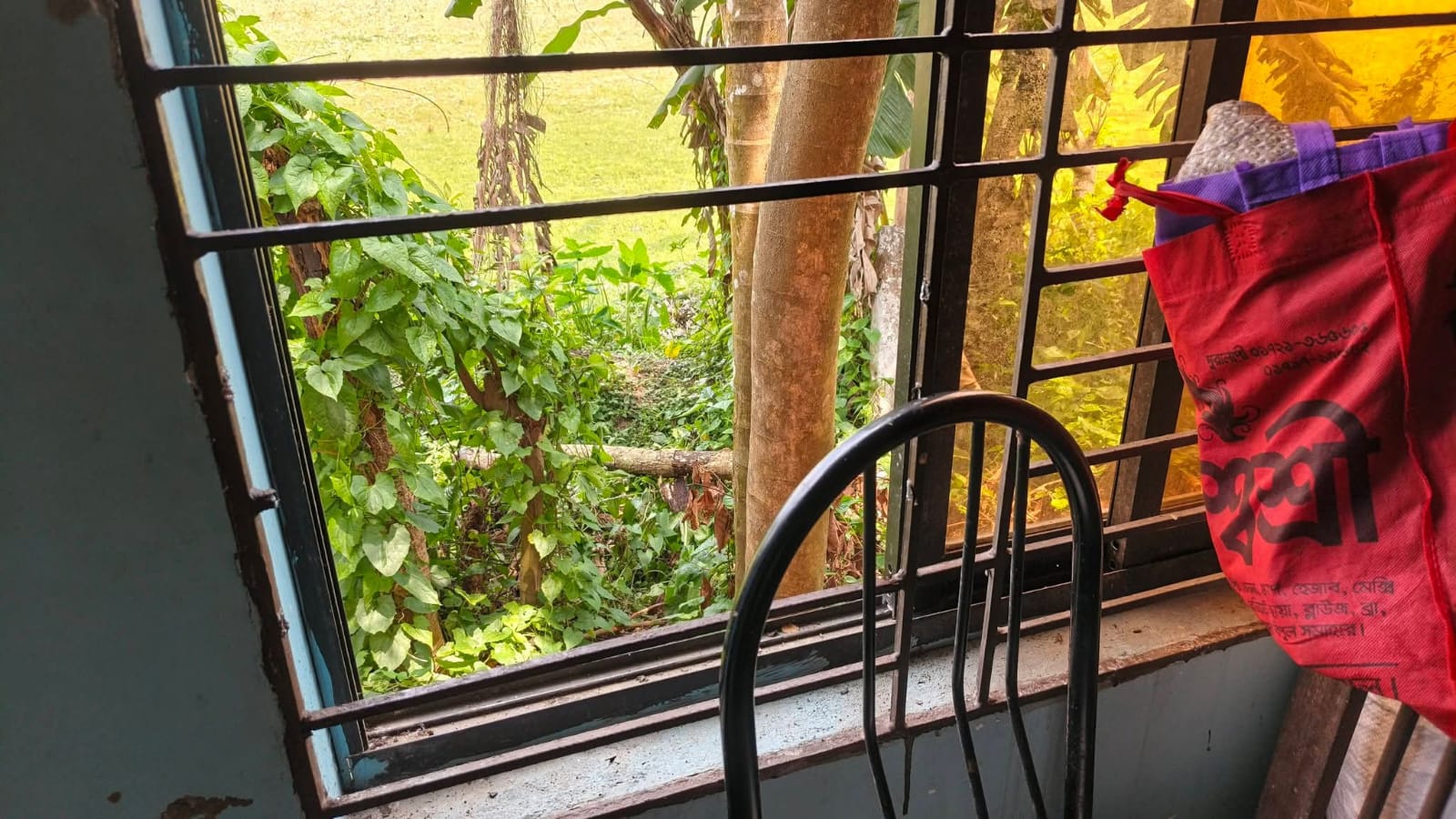 রাজাপুরে বসতঘরে দস্যুতা: আহত ২, নগদ টাকা-মোবাইল লুট