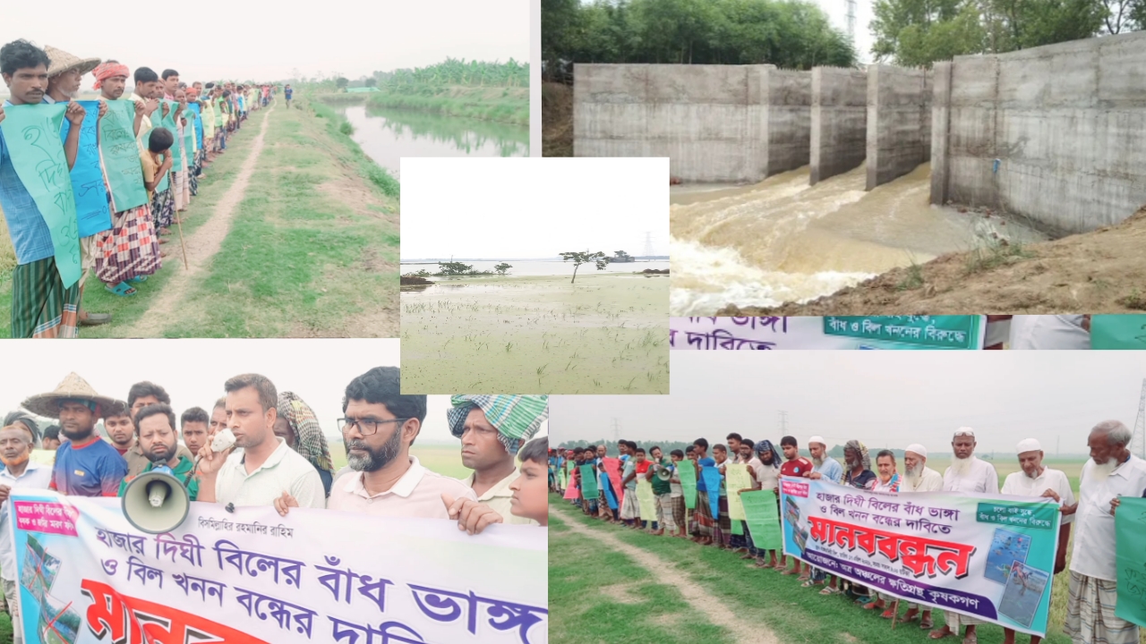 নাচোল ও গোমস্তাপুরে সরকারি খালে অবৈধ বাঁধ এ যে হাজার হাজার কৃষকের মরণ ফাঁদ অপসারণের দাবিতে মানববন্ধন