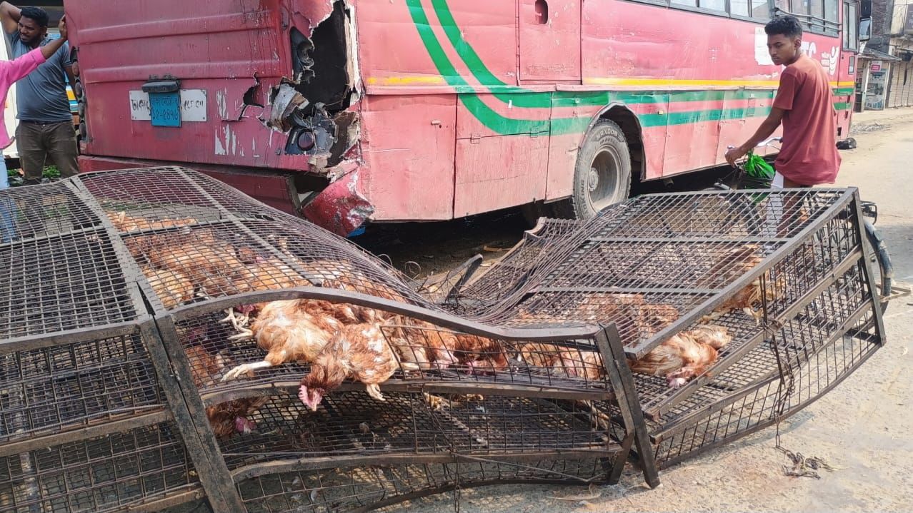 ট্রাক-বাস সংঘর্ষে ৩৫০ মুরগির মৃ/ত্যু