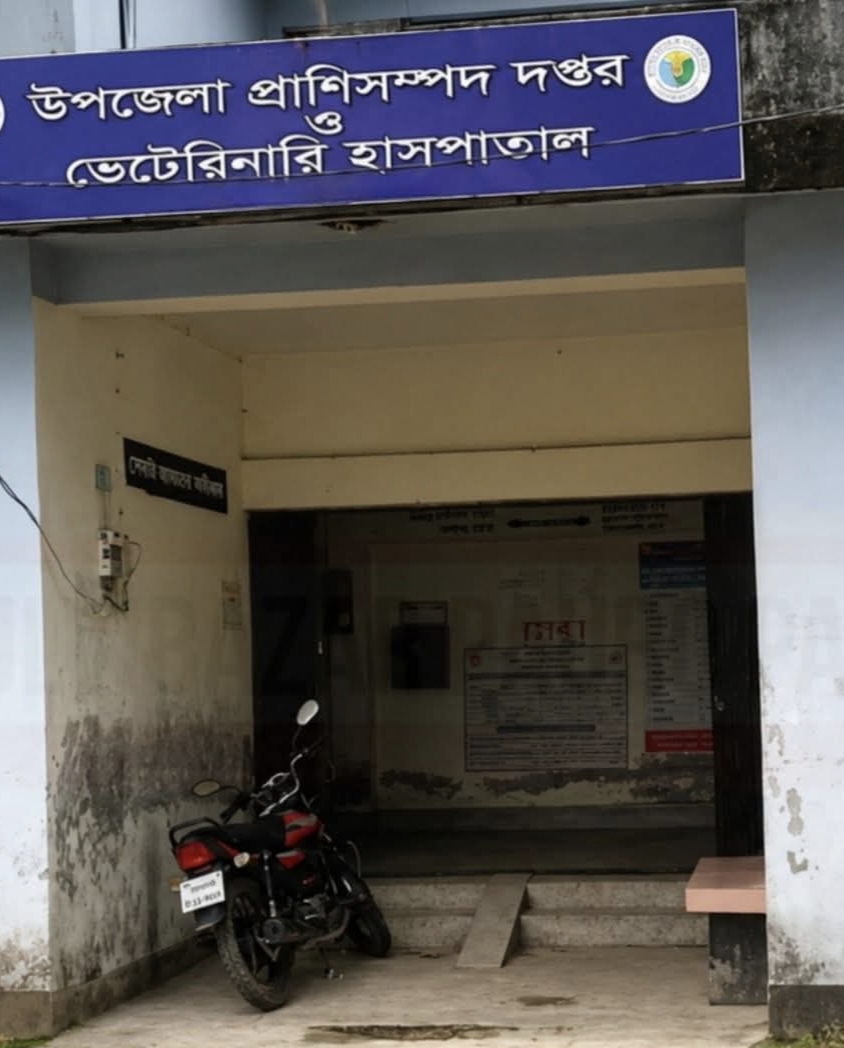 মৌলভীবাজার প্রাণিসম্পদ হাসপাতালে সরকারি ওষুধের তীব্র সংকট, ক্ষুব্ধ খামারিরা।