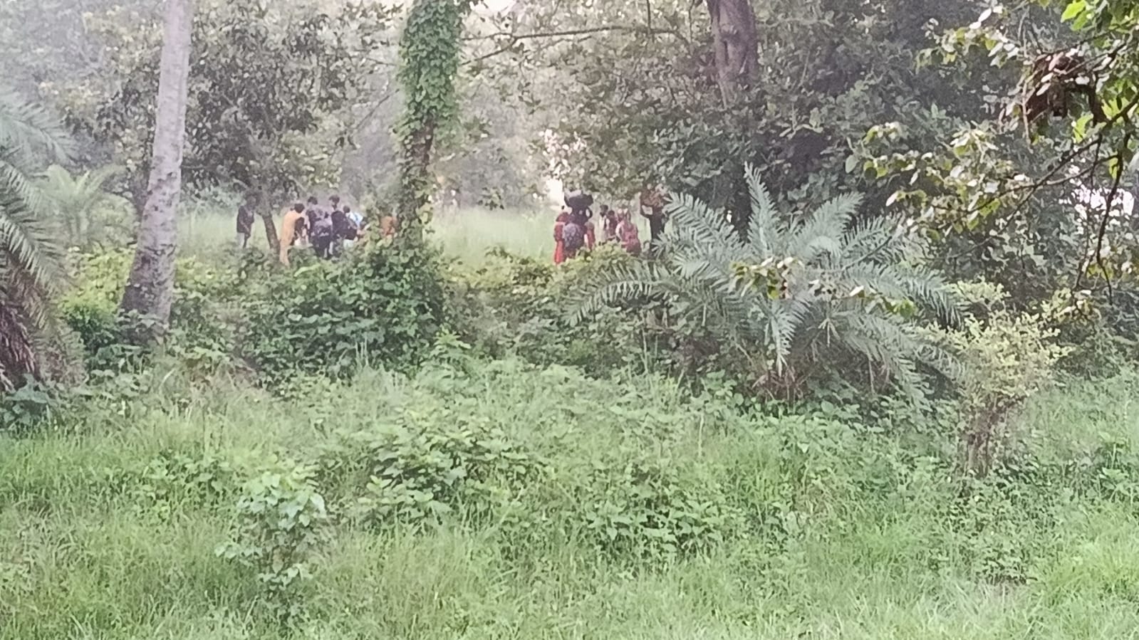 গোমস্তাপুর সীমান্তে ২৮ বাংলাদেশিকে পুশ-ইনের চেষ্টা: বিজিবির কড়া নজরদারি, ব্যর্থ বিএসএফ