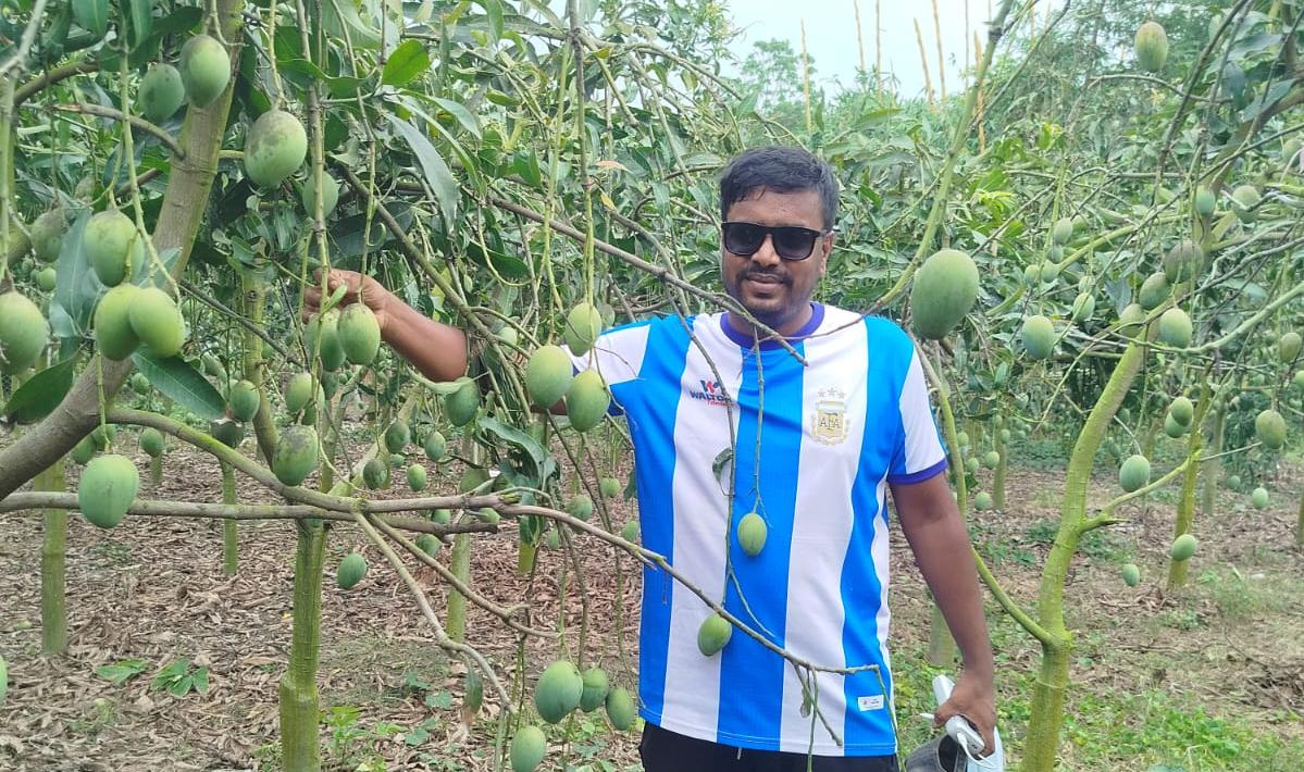 অনলাইন আম বিক্রিতে বদলগাছীর তরুণ উদ্যোক্তা মোস্তাকিমের বাজিমাত