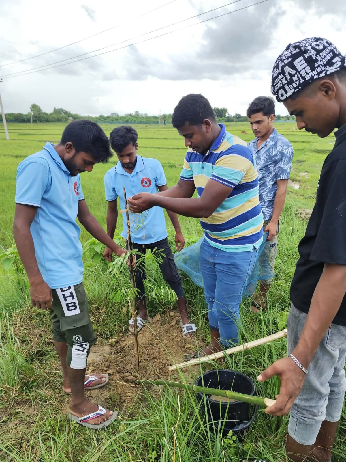 চাঁপাই ব্লাড ডোনেট ফাউন্ডেশনের উদ্যোগে বৃক্ষরোপণ কর্মসূচি সম্পন্ন